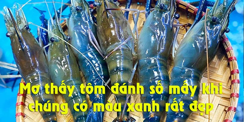 Mơ thấy tôm càng xanh là điềm báo may mắn