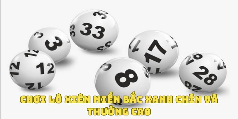 Lô Xiên Miền Bắc - Hình Thức Cược Trực Tuyến Được Yêu Thích